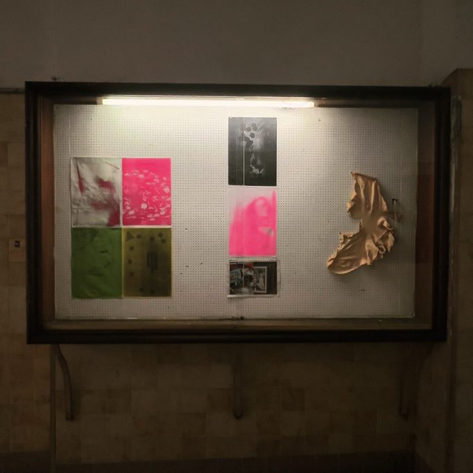 Die Dornevögel, Hendrik Hegray, 16.09.2024 - 17.10.2024, Motto Berlin