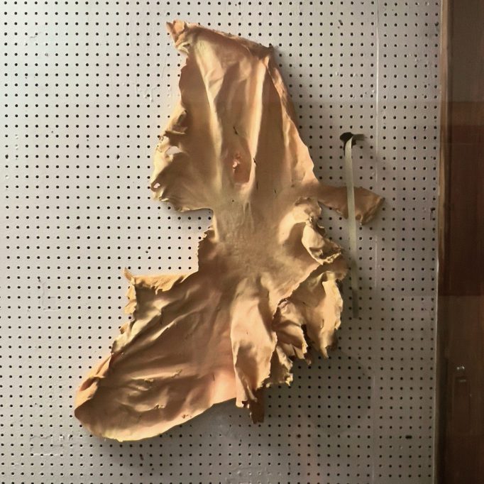 Die Dornevögel, Hendrik Hegray, 16.09.2024 - 17.10.2024, Motto Berlin