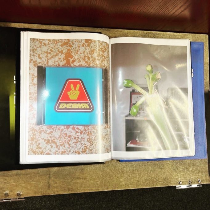 Die Dornevögel, Hendrik Hegray, 16.09.2024 - 17.10.2024, Motto Berlin