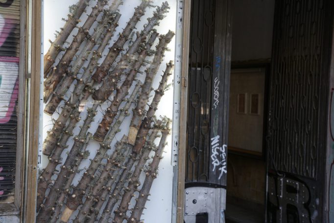 Tanenbaum Exhibition, Georg Verbuchen & Cornelius Woyke & Valentin Wedde, 02.09.2023 - 20.09.2023, Motto Berlin