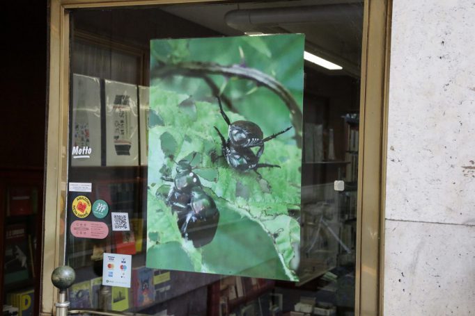 STEPPUBLISHER, HO KING MAN, 04.04.2023 - 09.06.2023, Motto Berlin